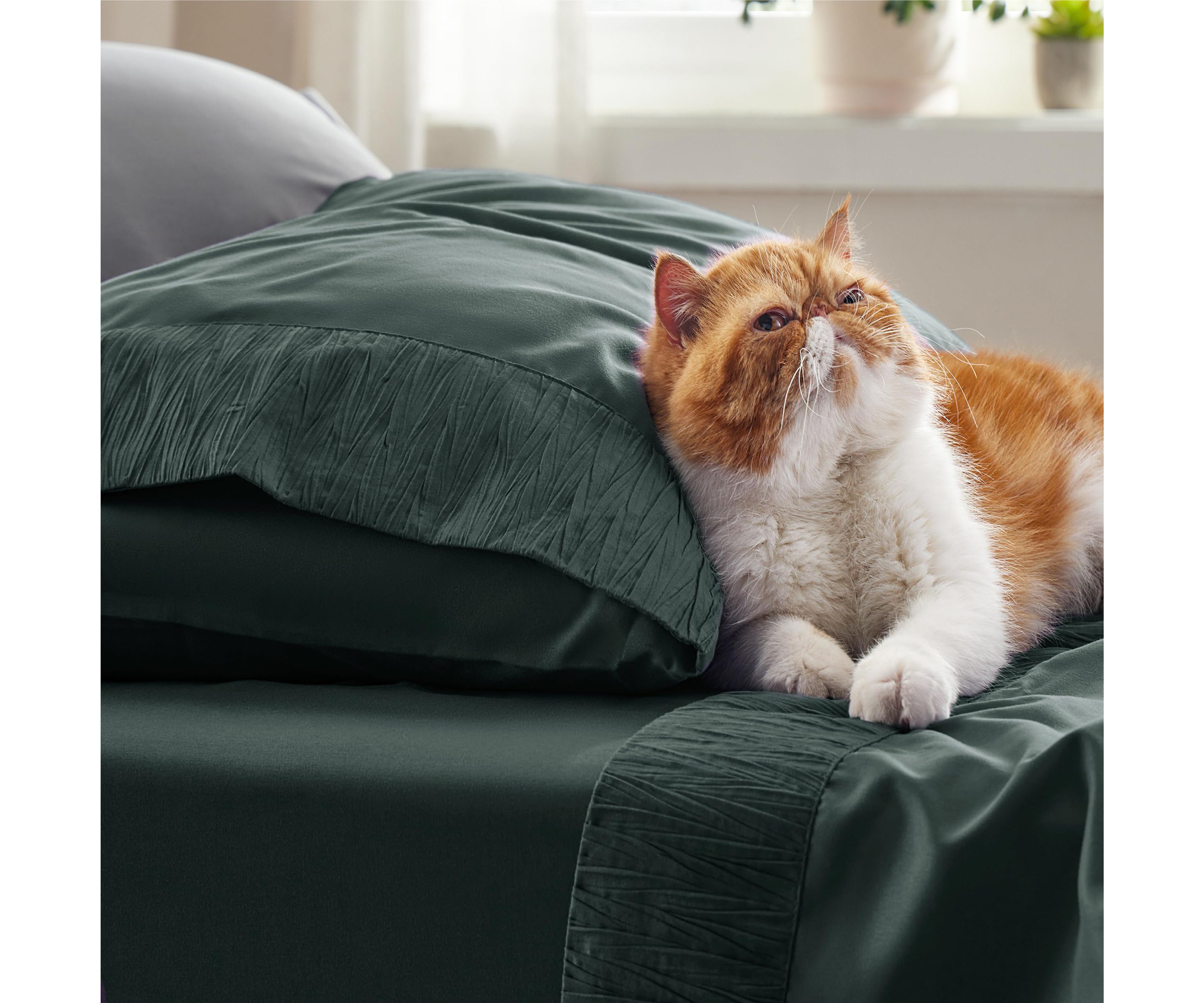 Hotel Luxury Embellished Hem Sheet Set