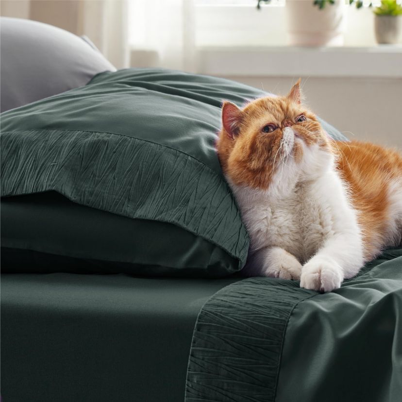 Hotel Luxury Embellished Hem Sheet Set