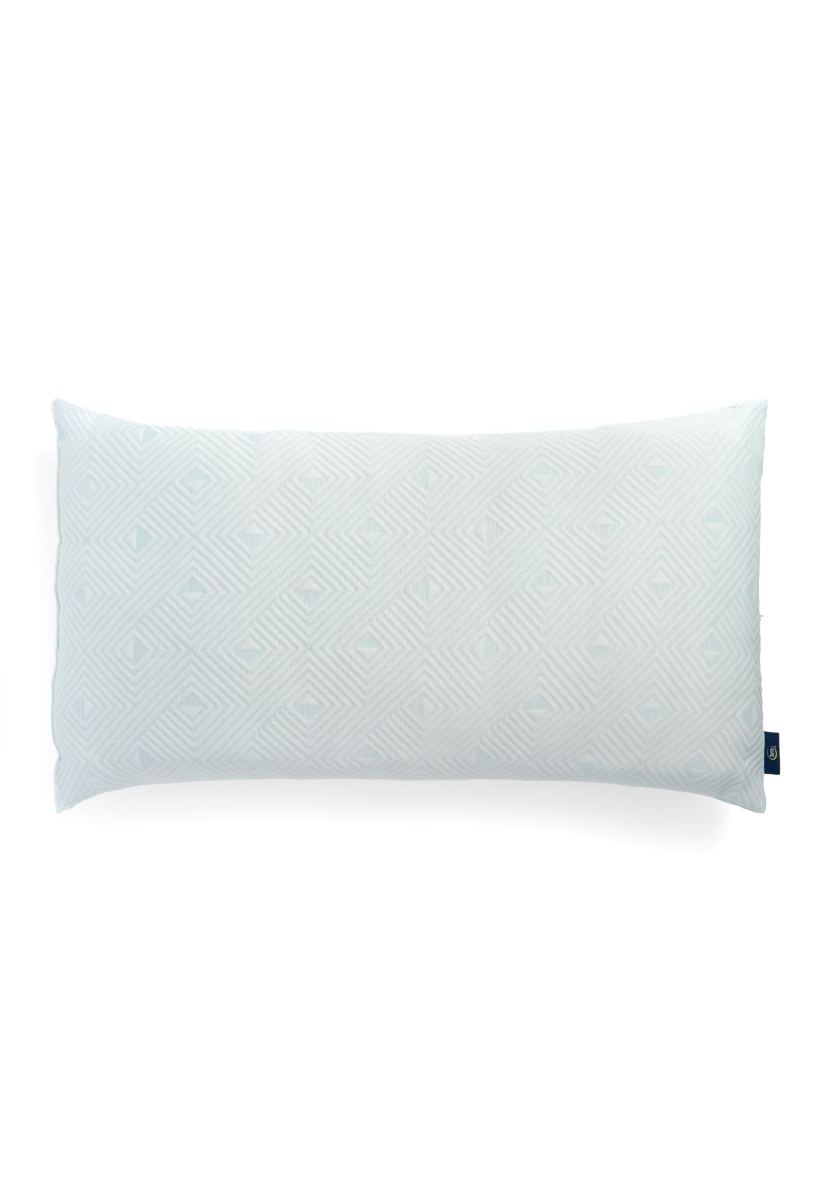 Set of 2 Lofty Comfort Pillows