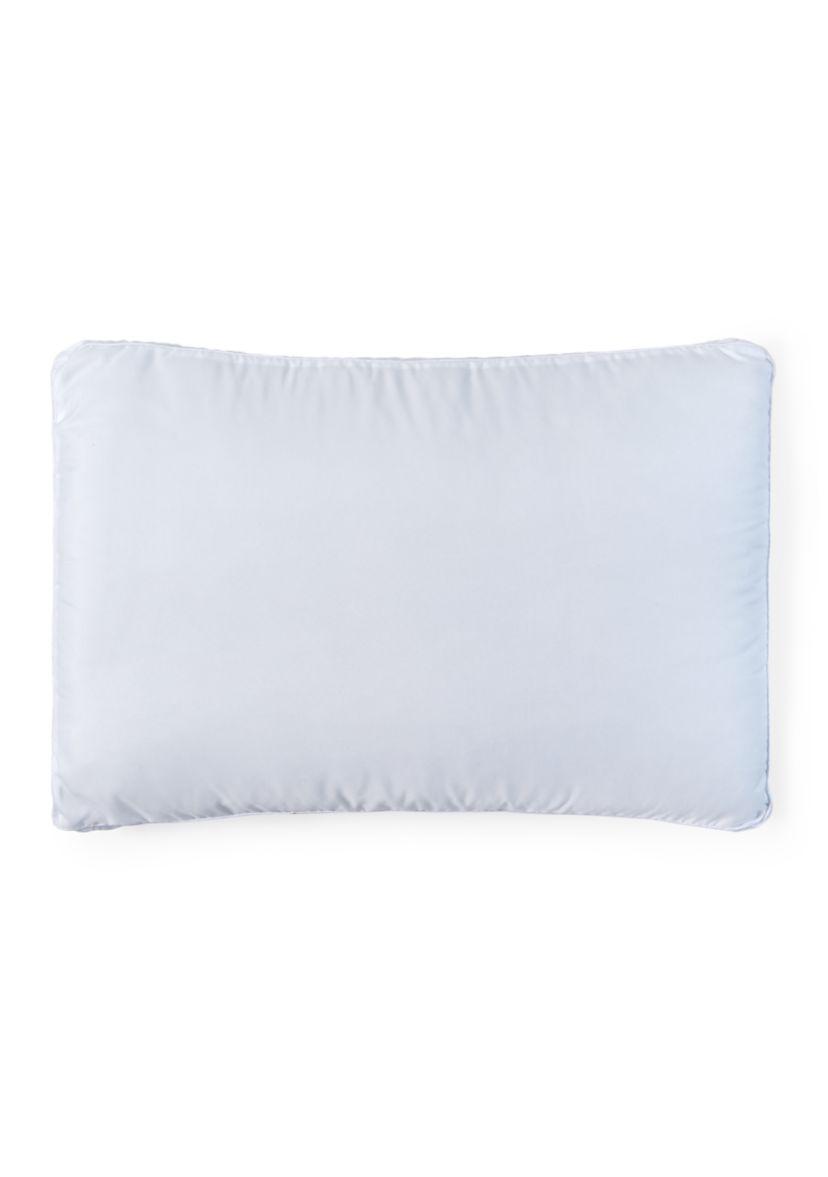 Set of 2 Lofty Comfort Pillows