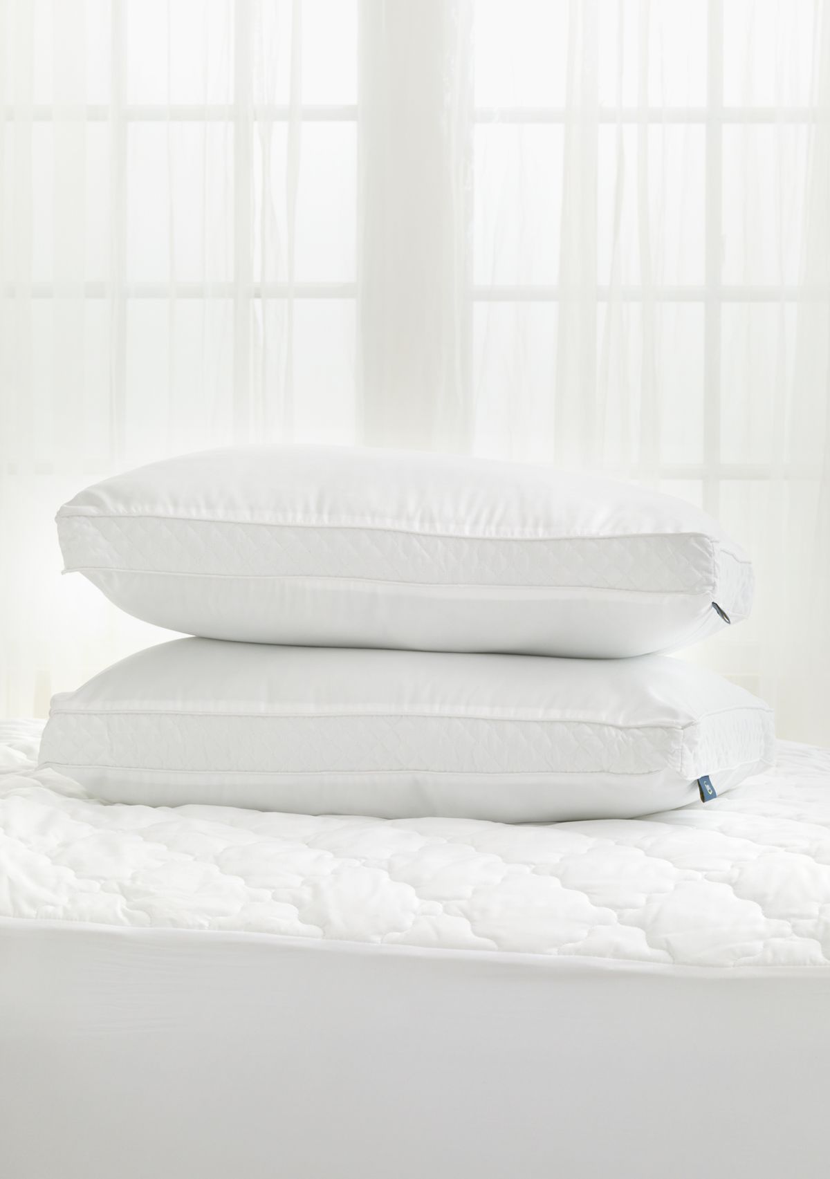Set of 2 Lofty Comfort Pillows