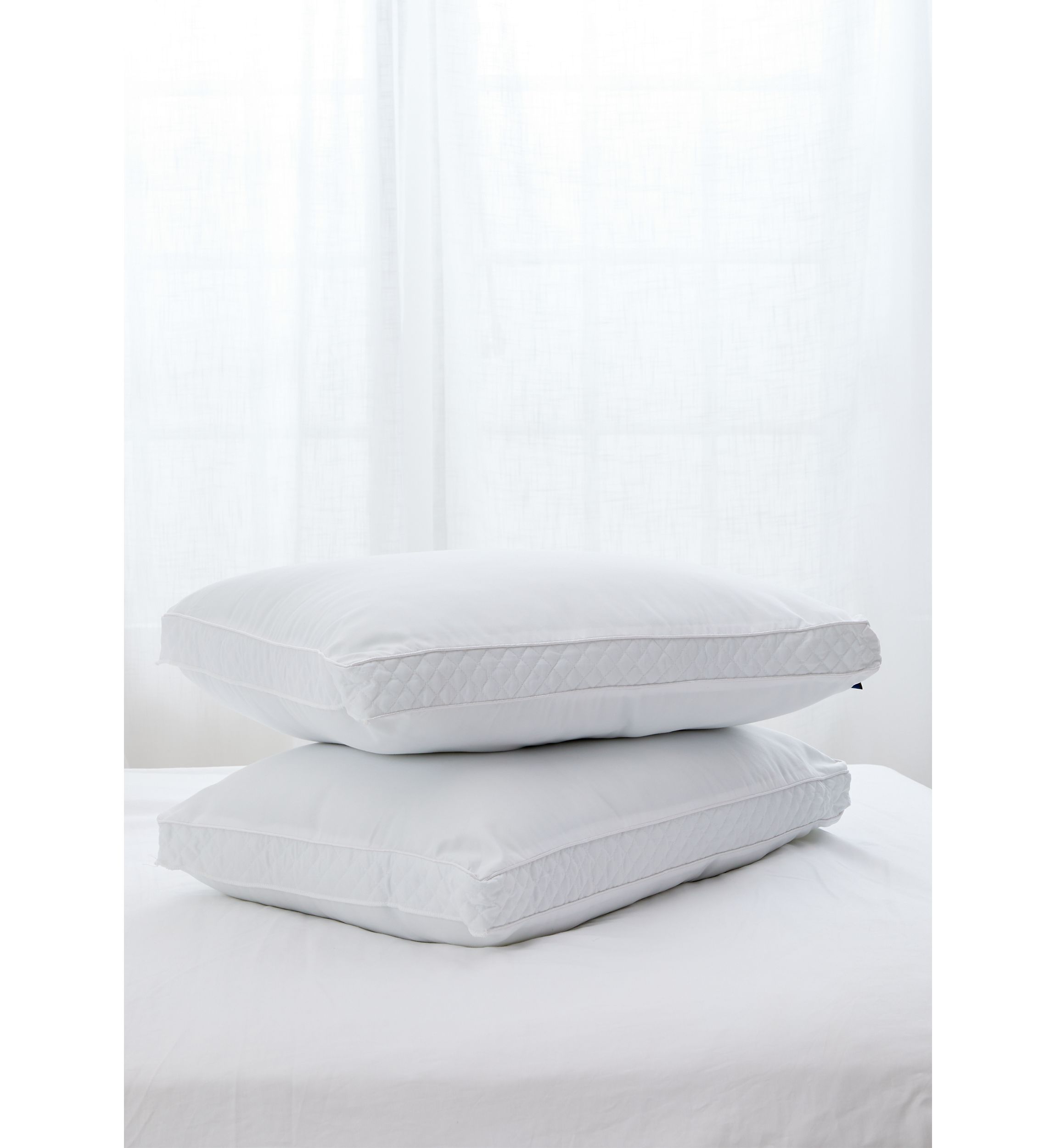 Set of 2 Lofty Comfort Pillows