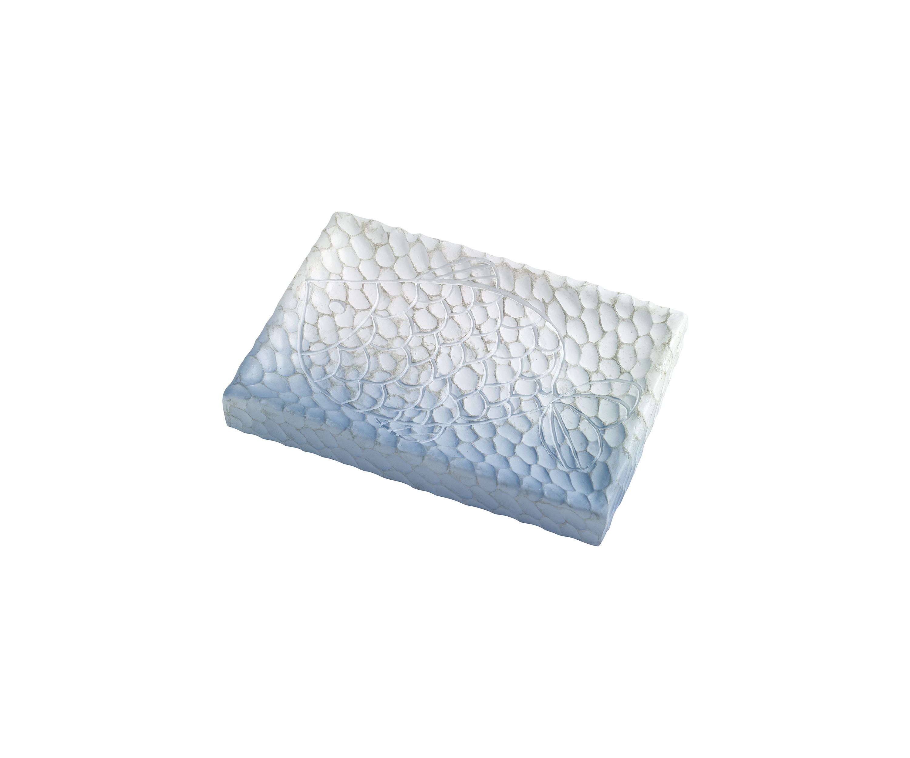 Blue Fin Bay Soap Dish