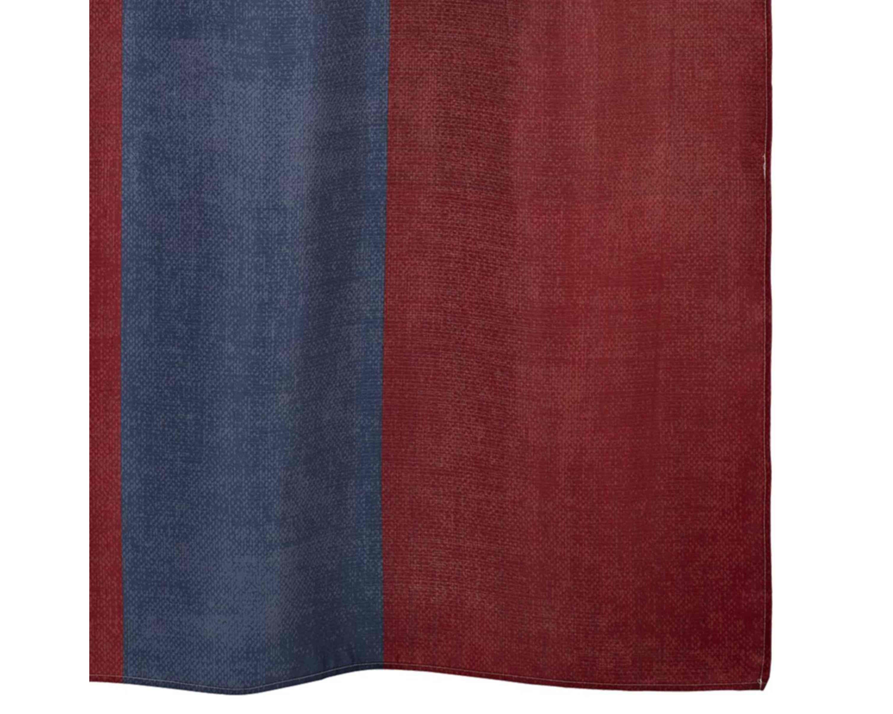 Texas Flag Shower Curtain