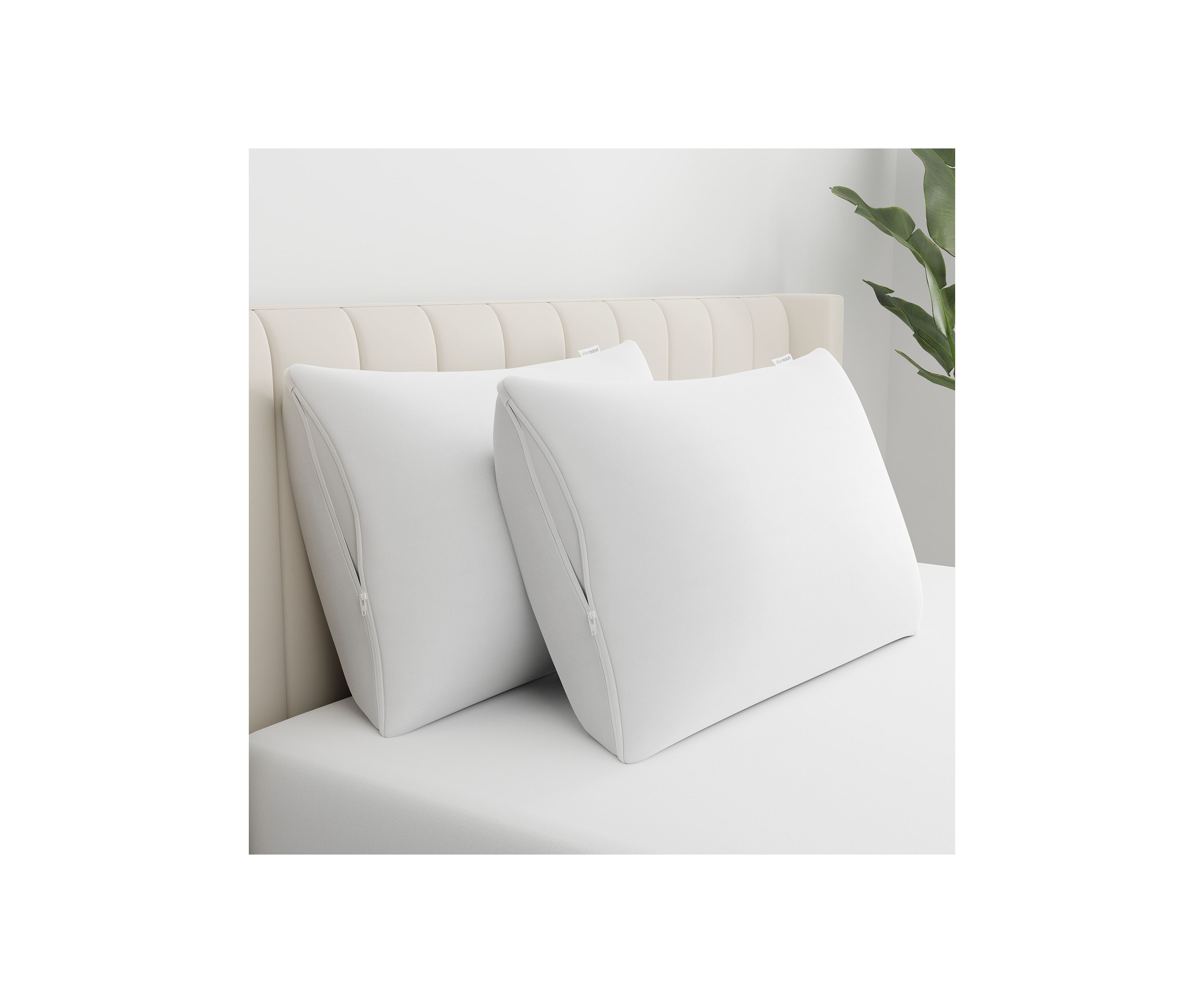 Cotton Fresh Zippered Pillow Protector 