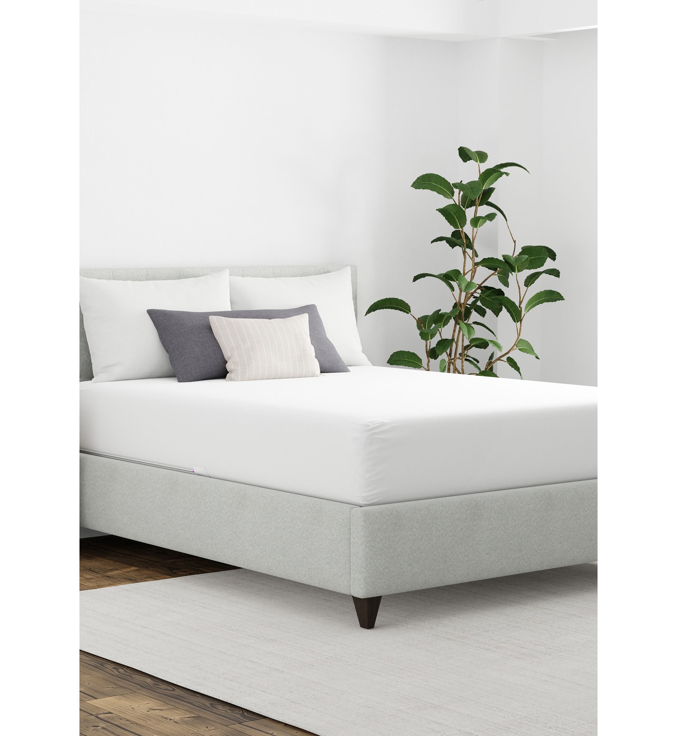 Maximum Allergy and Bedbug Waterproof Mattress Protector