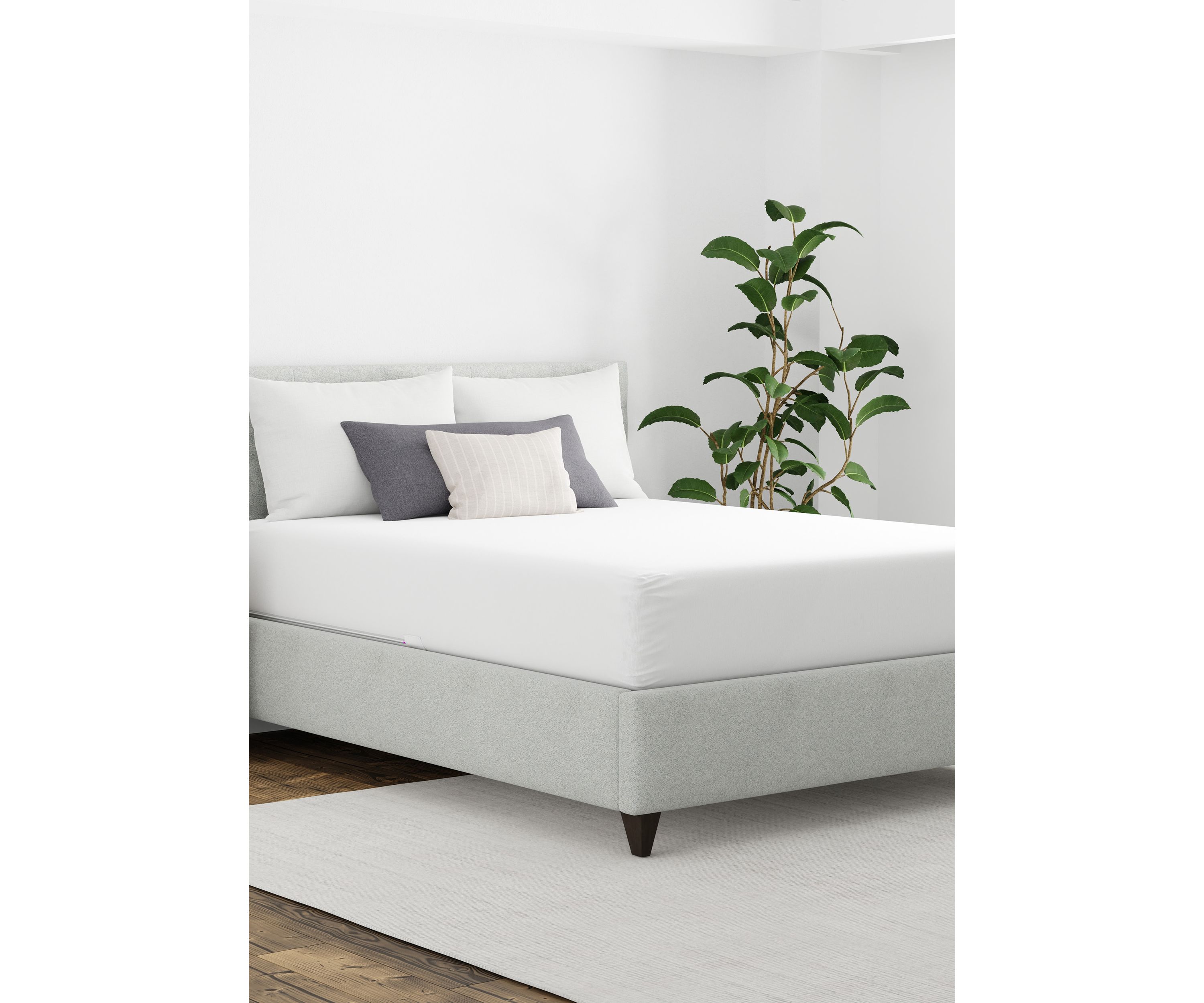 Maximum Allergy and Bedbug Waterproof Mattress Protector