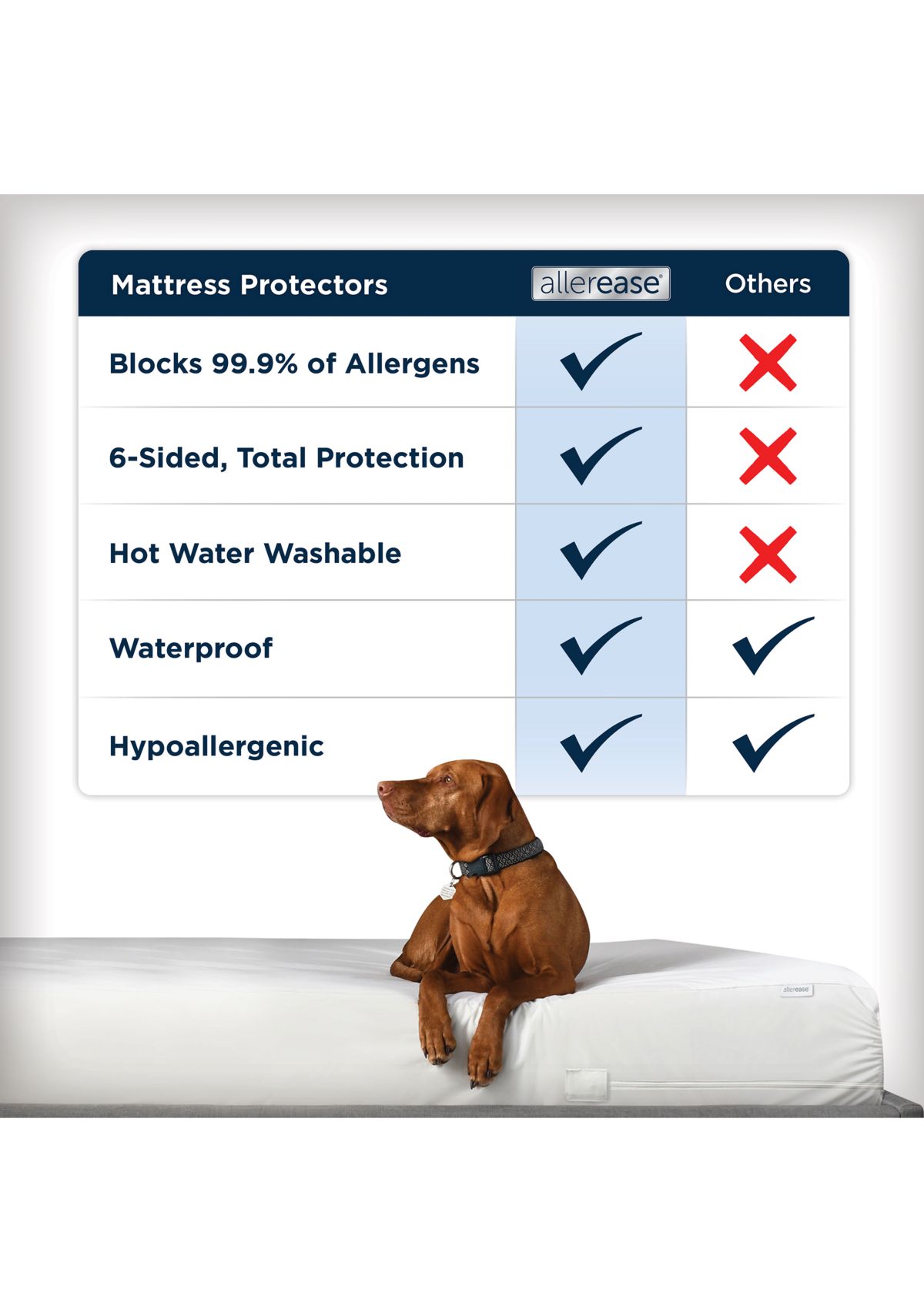Waterproof Allergy Protection Zippered Mattress Protector