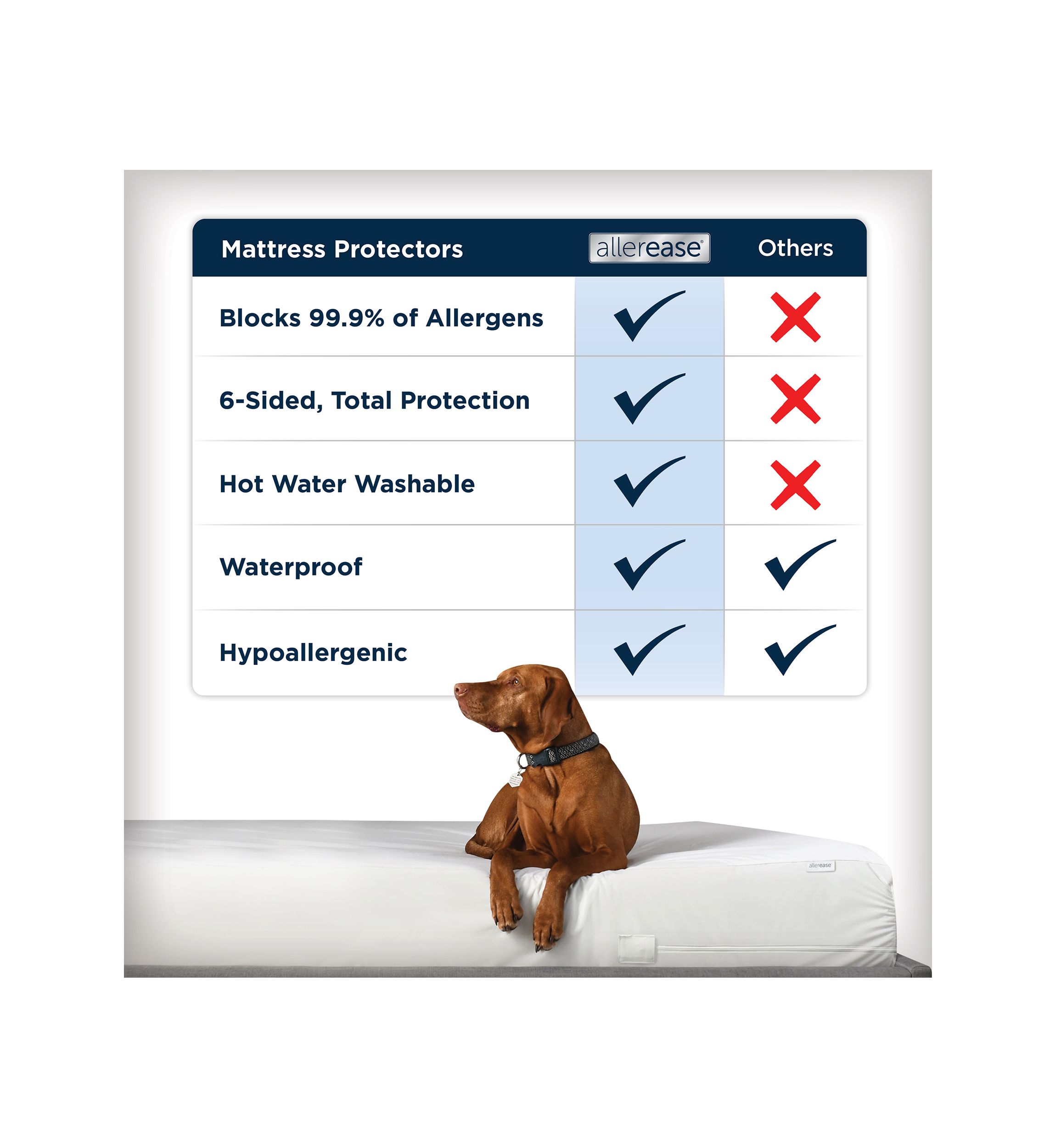 Waterproof Allergy Protection Zippered Mattress Protector