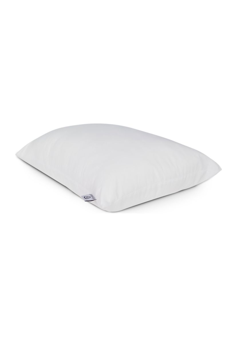 Total Allergy Defense Jumbo Pillow