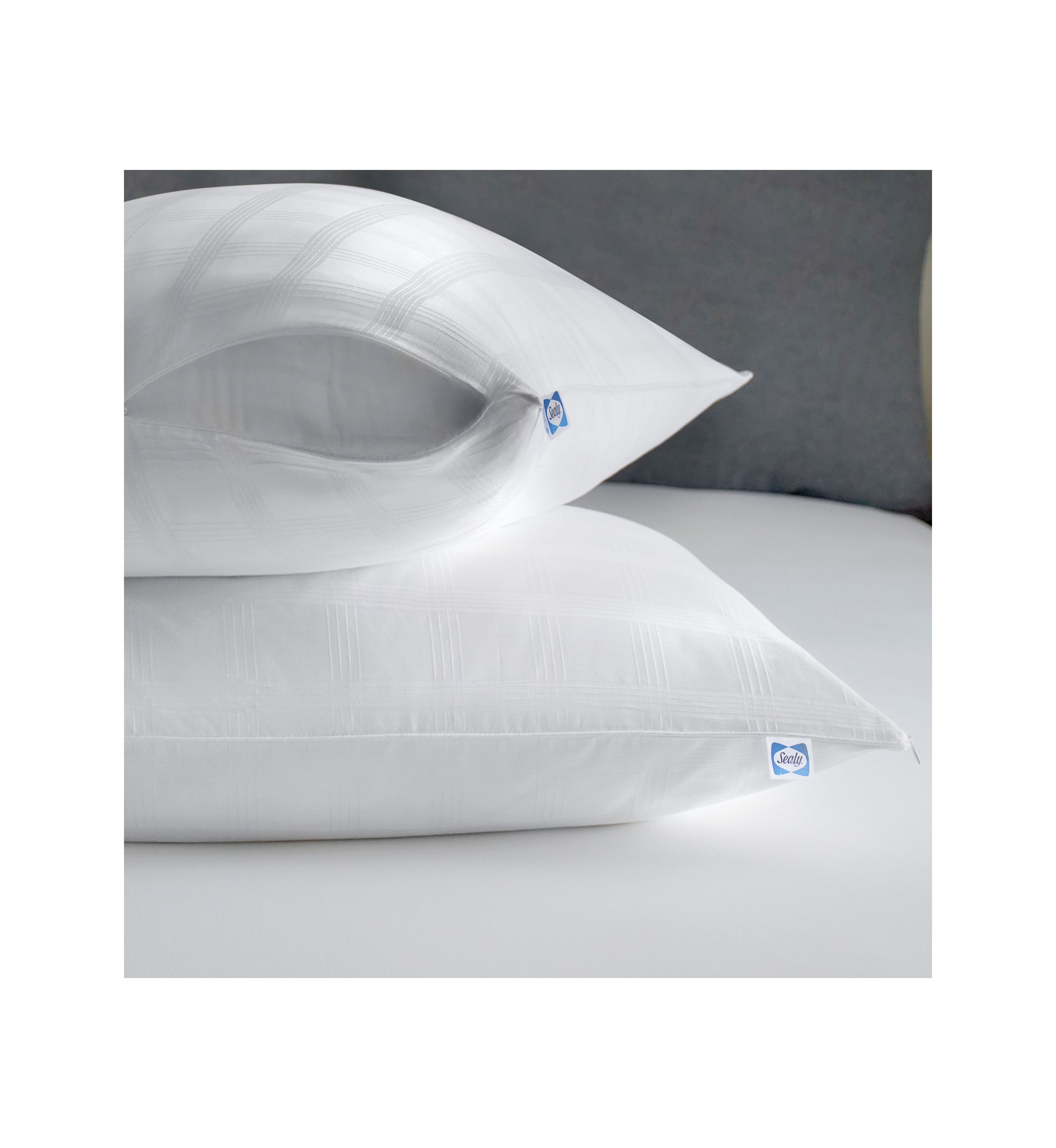 Elite Clean Luxury Zippered Pillow Protector