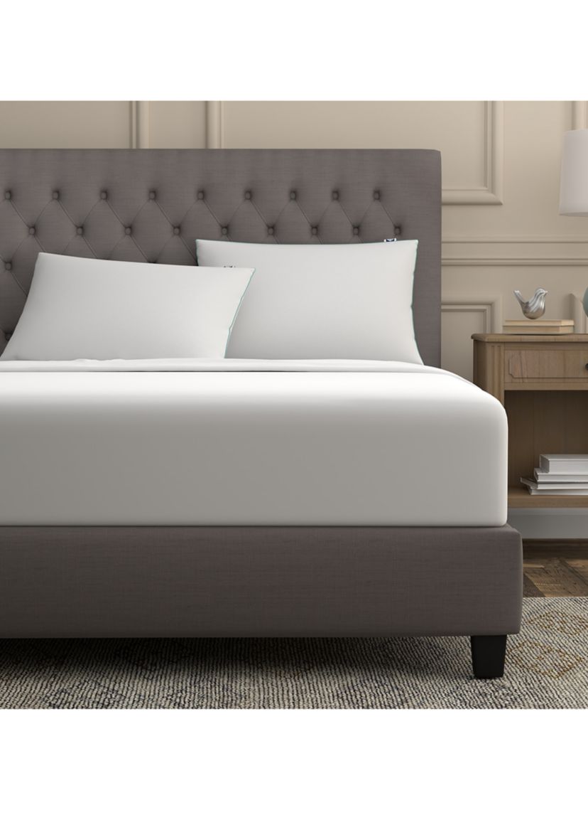 Extra Firm Density Jumbo Pillow