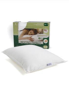 Carpenter 2025 perfect pillow