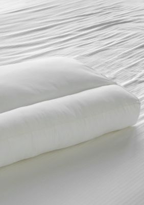 Cervo Comfort Standard Extra Firm Bed Pillow Belk