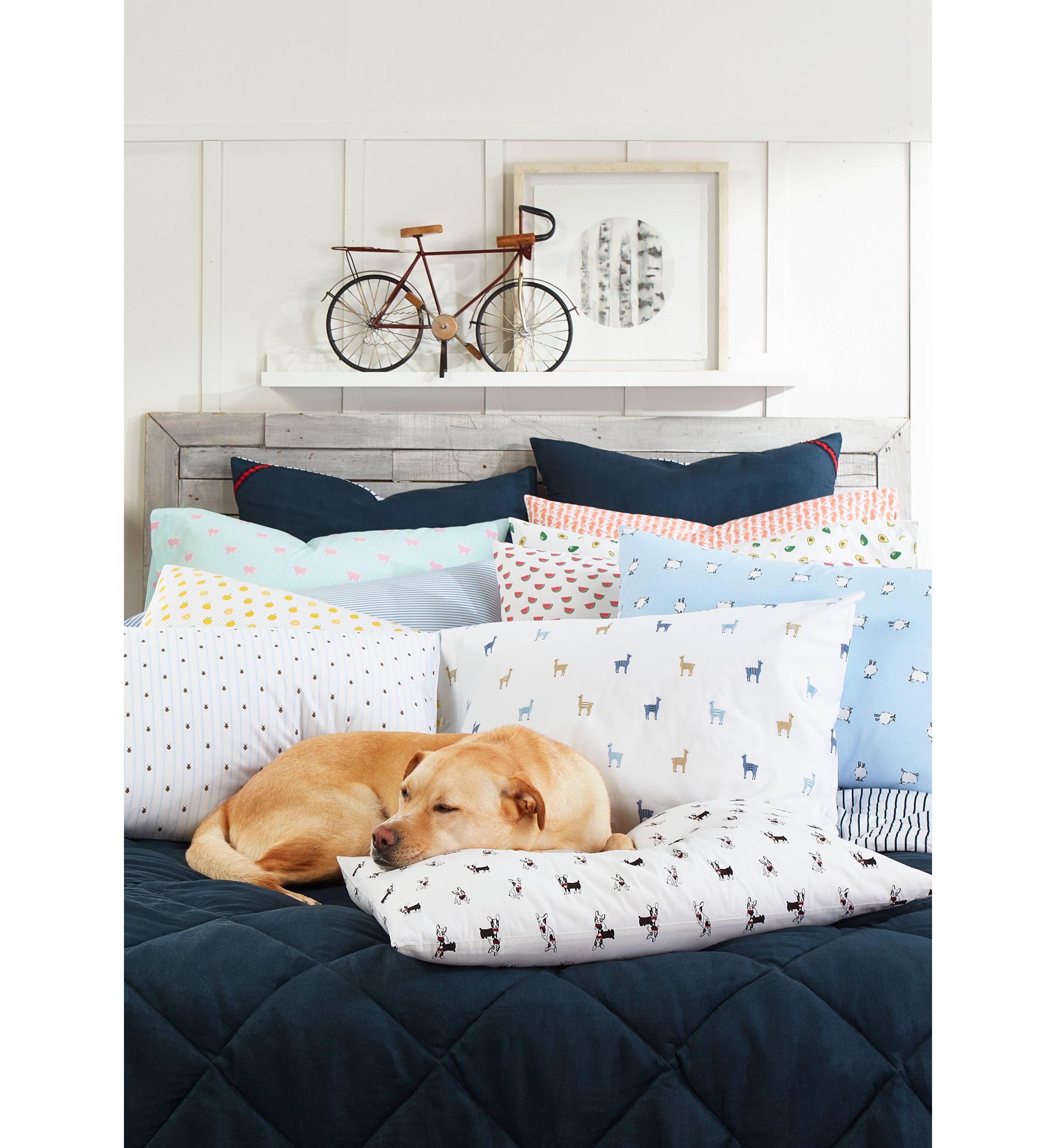 Oxford Stripe Cotton Sheet Set