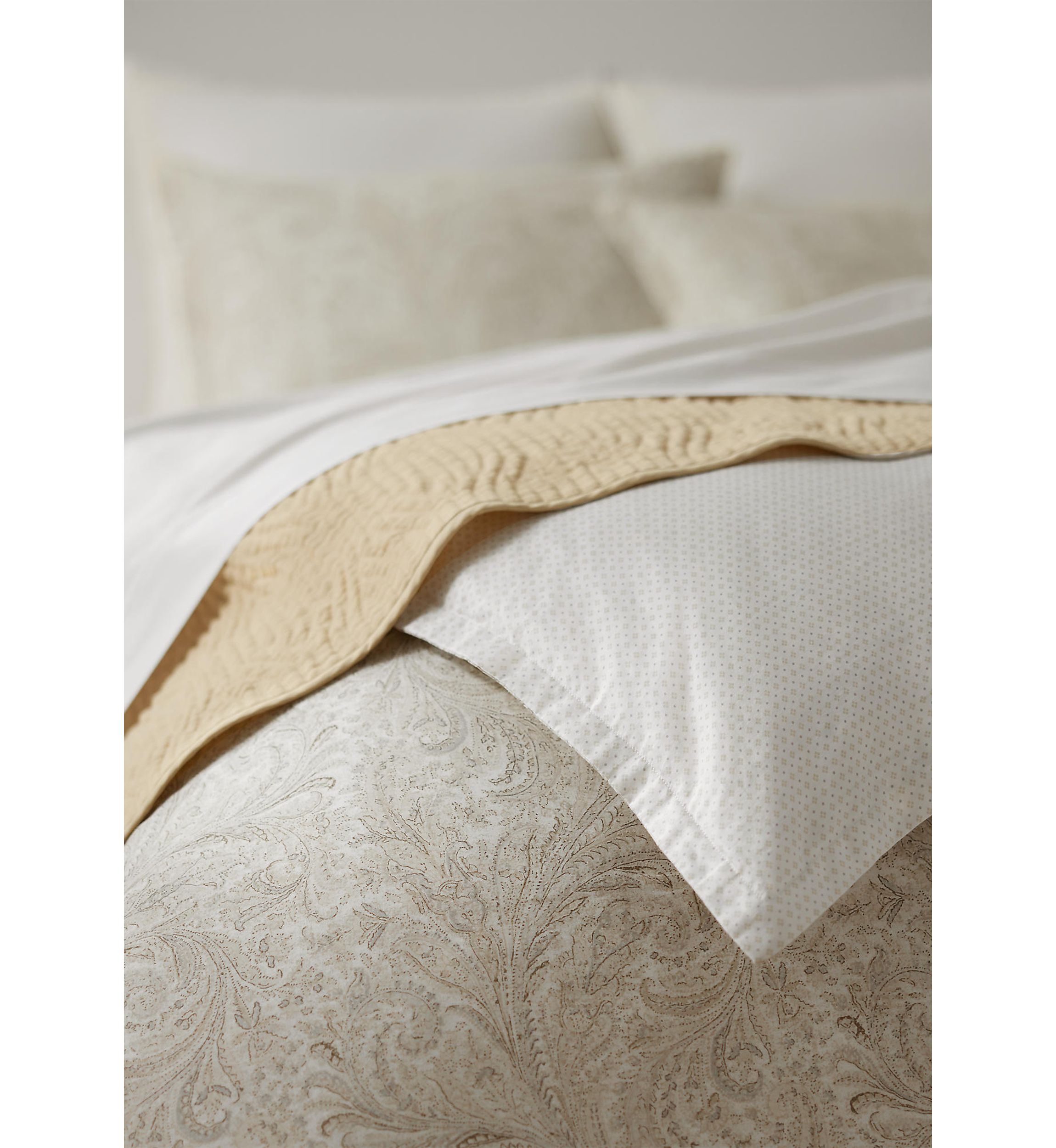 Marah Paisley Cotton Percale Full/Queen Comforter Set