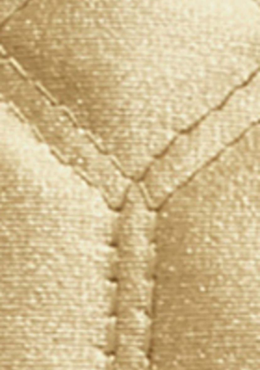 Satinique Sham
