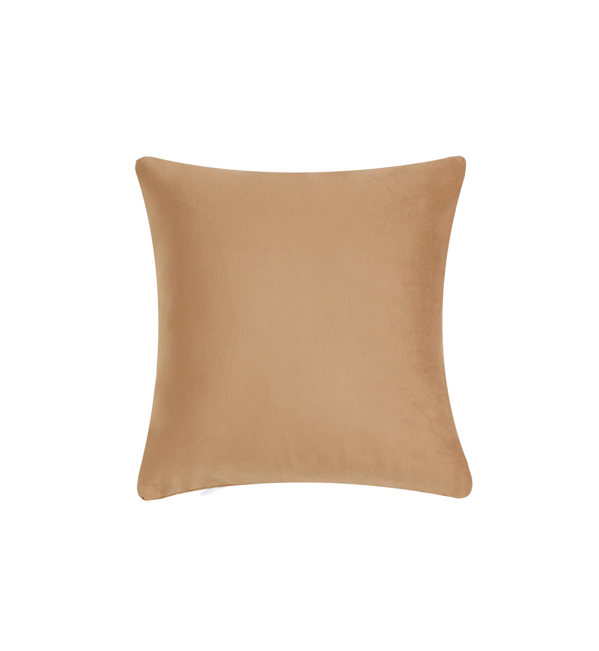 Valencia 20" Square Decorative Throw Pillow