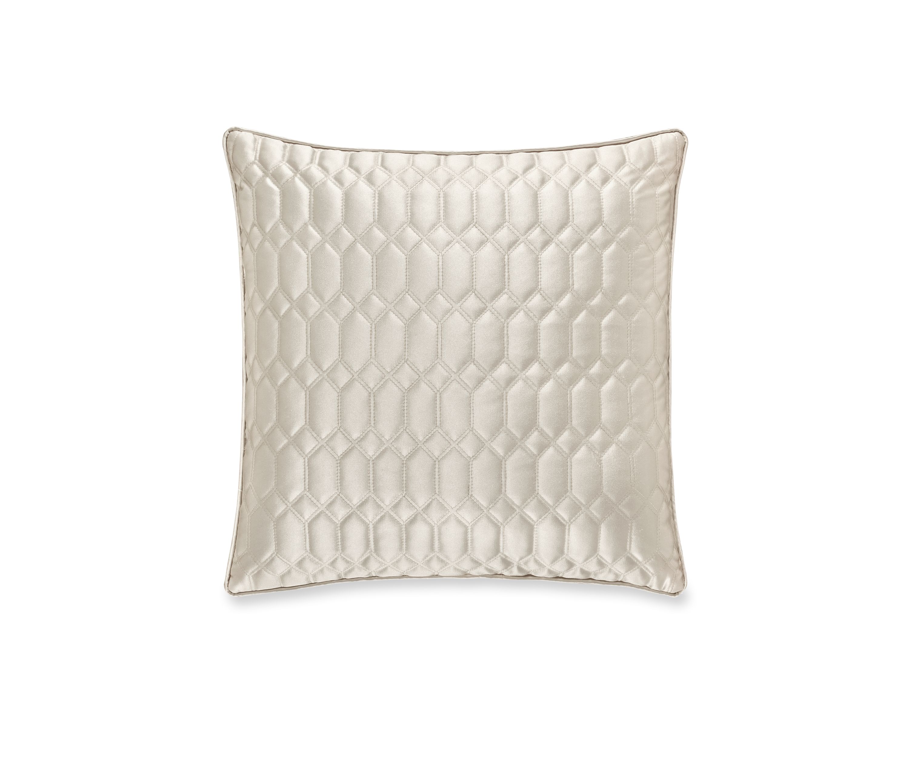 Satinique 20" Square Decorative Throw Pillow