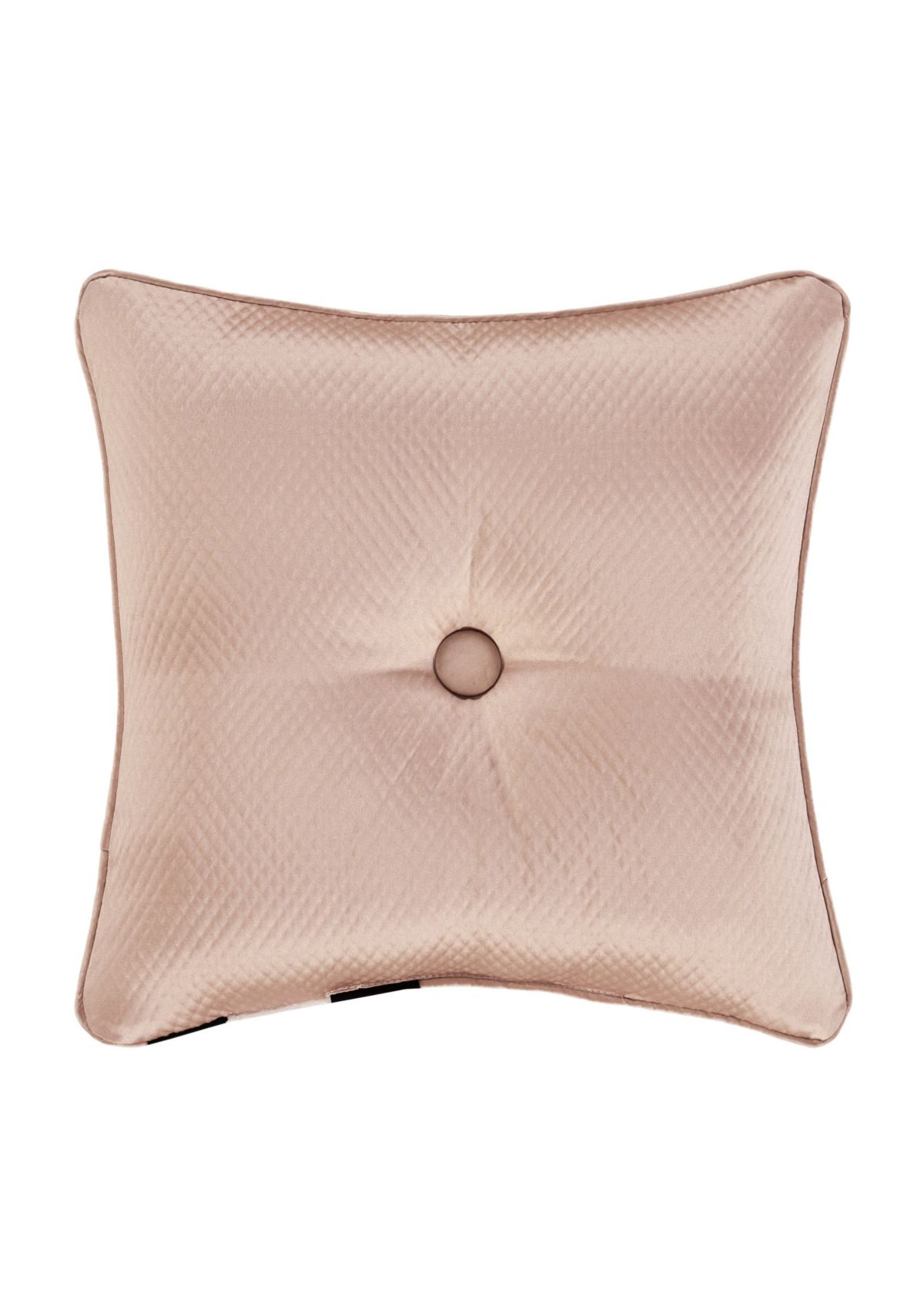 Rosewater 18" Square Decorative Throw Pillow