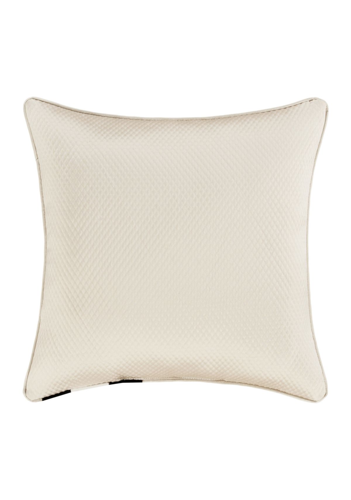 Villanova 20" Square Decorative Throw Pillow