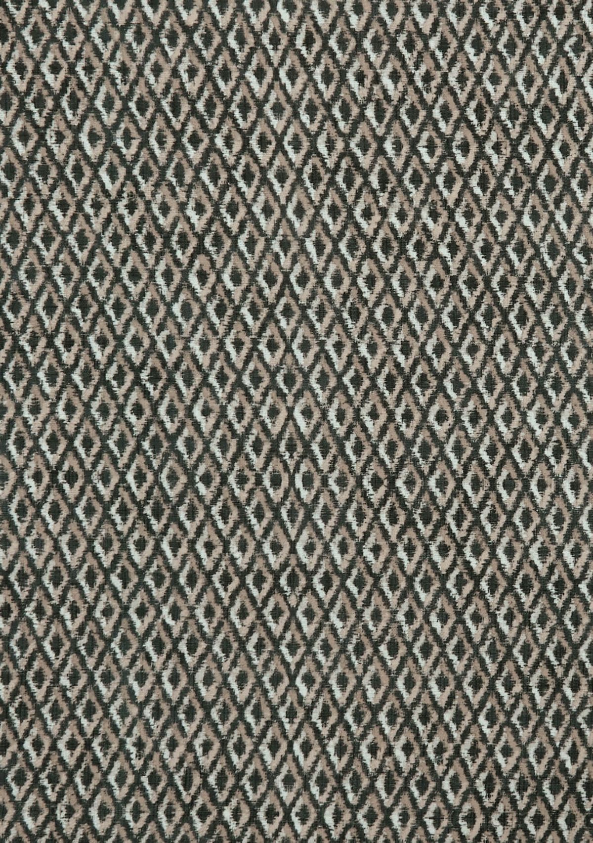 Ozark Shower Curtain