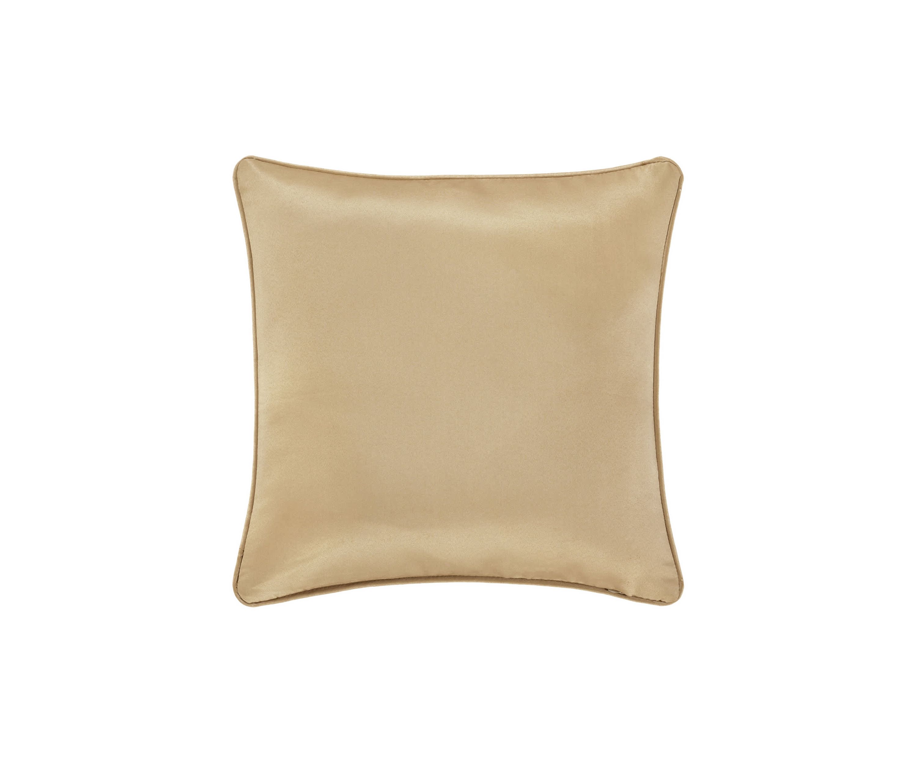 Potenza 18" Square Decorative Throw Pillow
