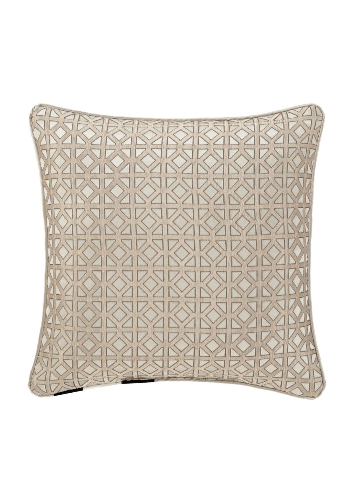 Alaro 20" Square Decorative Throw Pillow