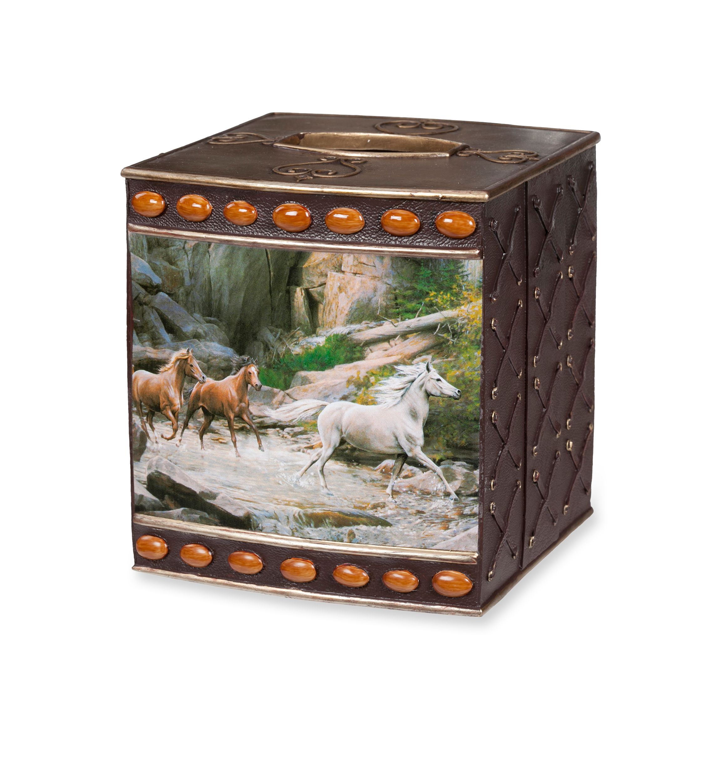 Horse Canyon By Hautman Brothers Tissue Box
