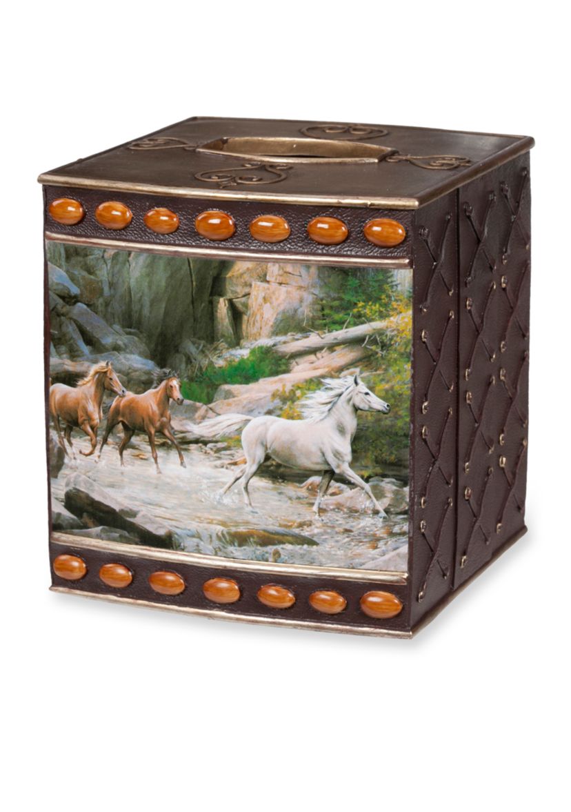 Horse Canyon By Hautman Brothers Tissue Box