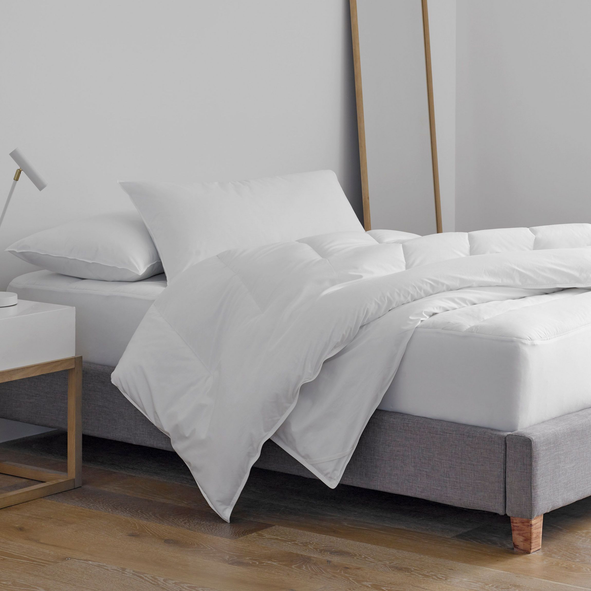 Clean Essentials Pillow and Pillow Protector Set
