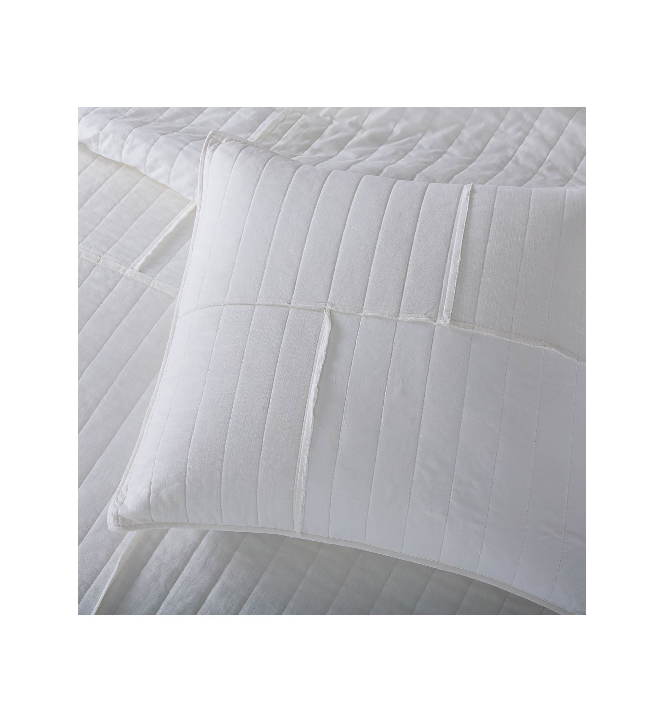 Point Reyes Euro Sham 
