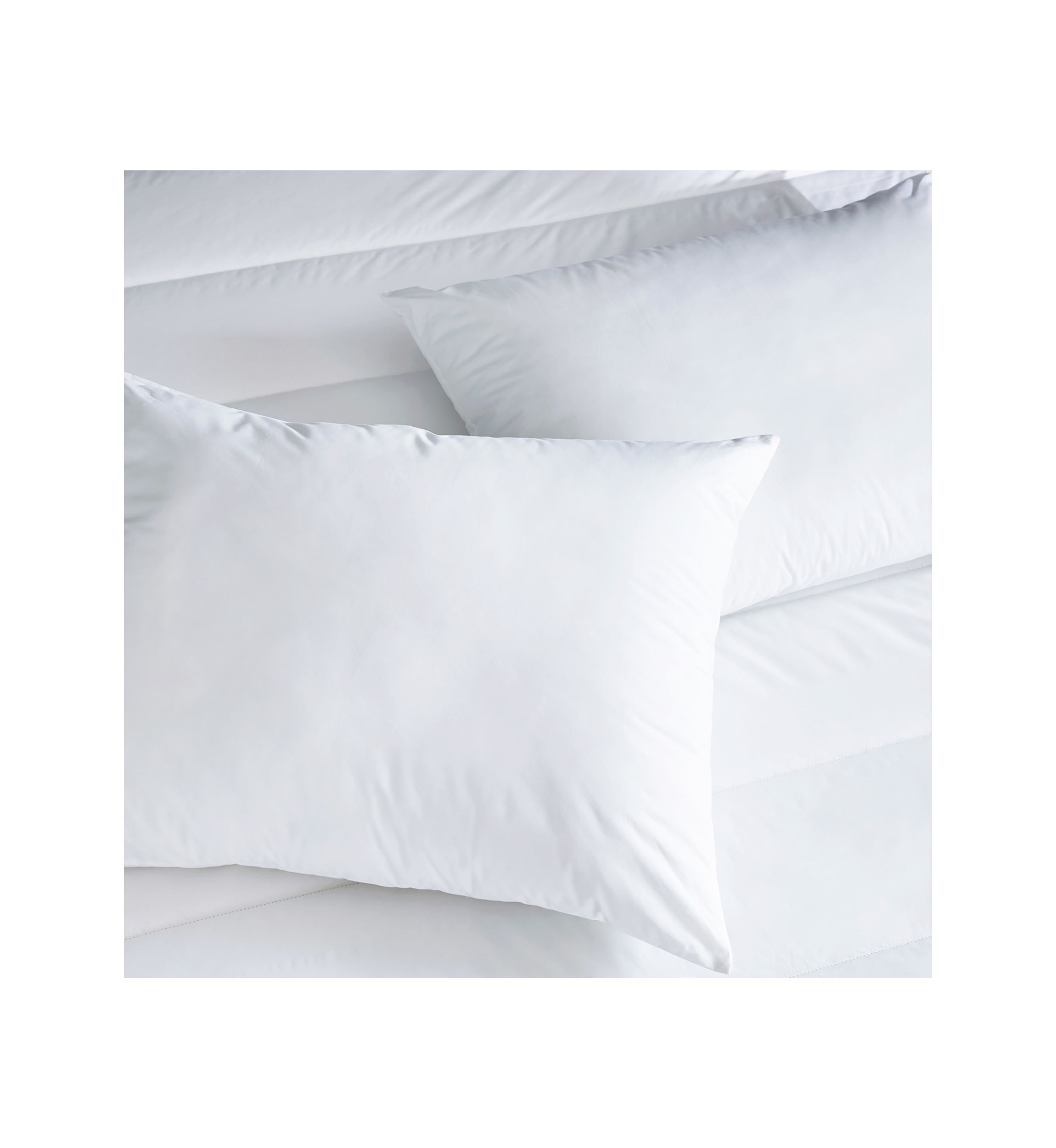 Anti-Allergen Pillow