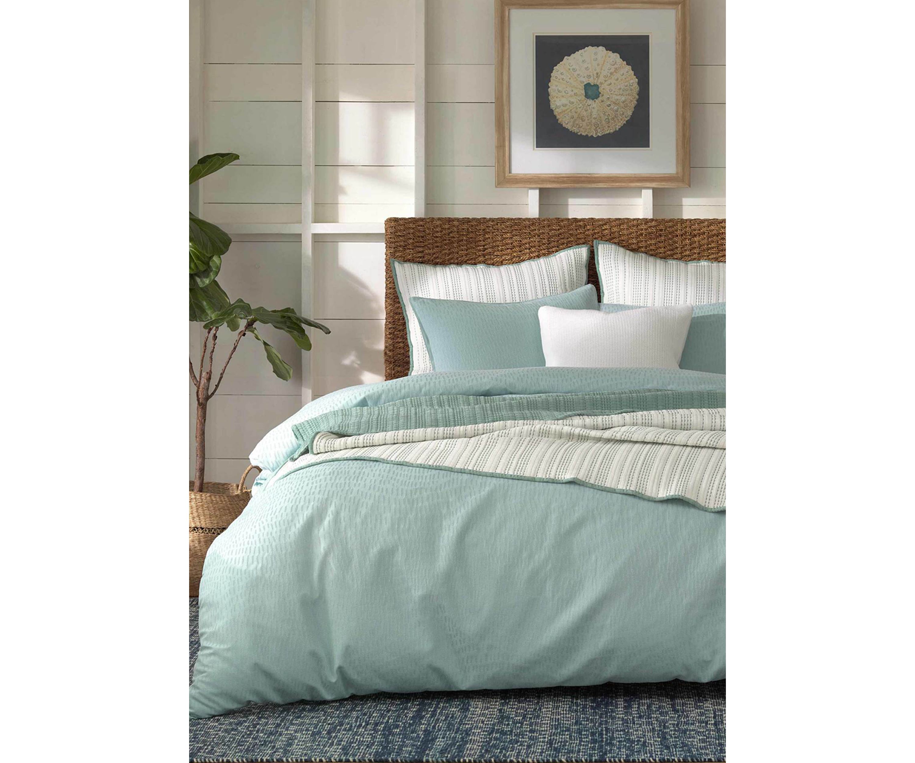 Cocoa Bluff Comforter Set