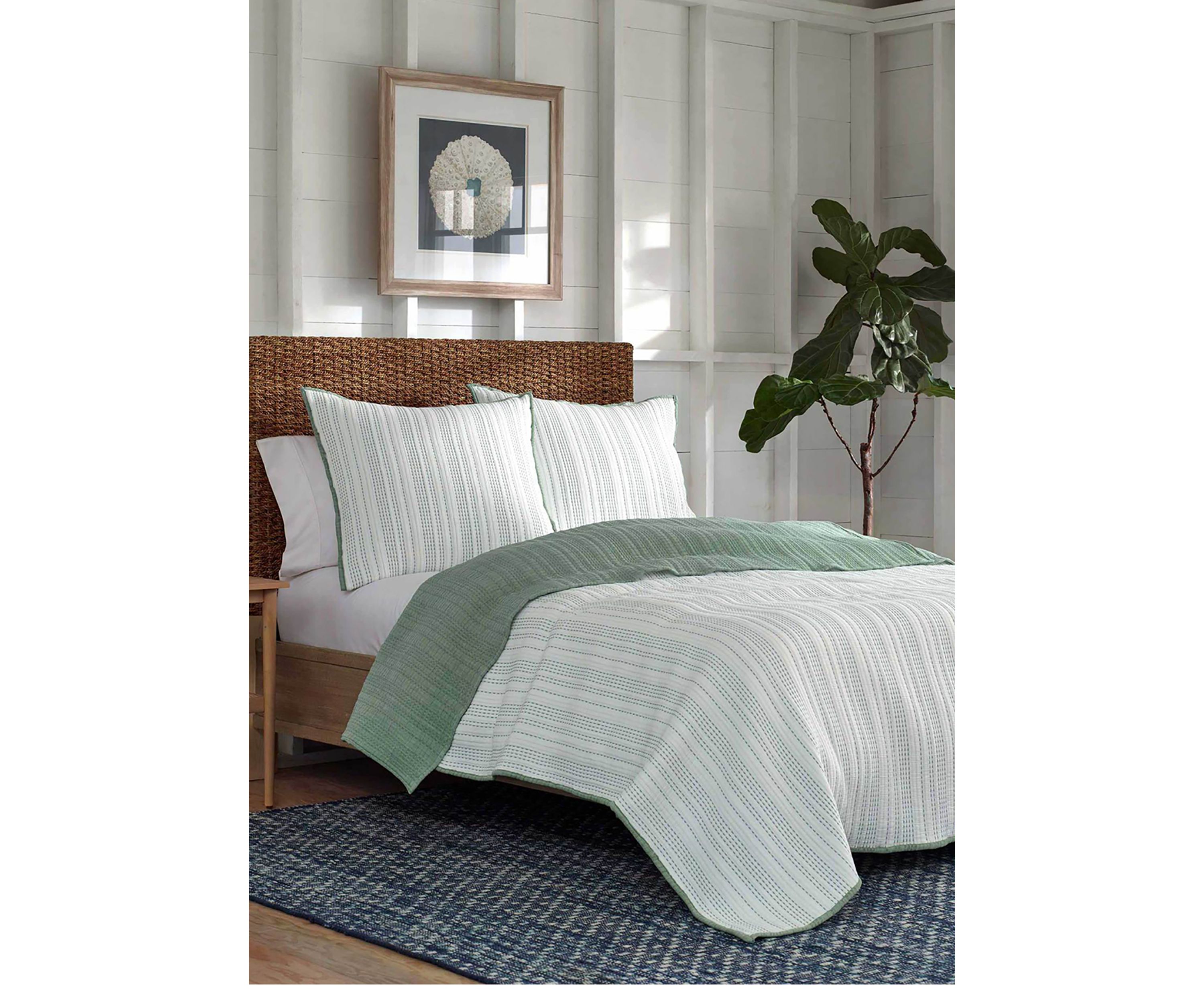 Cocoa Bluff Euro Sham