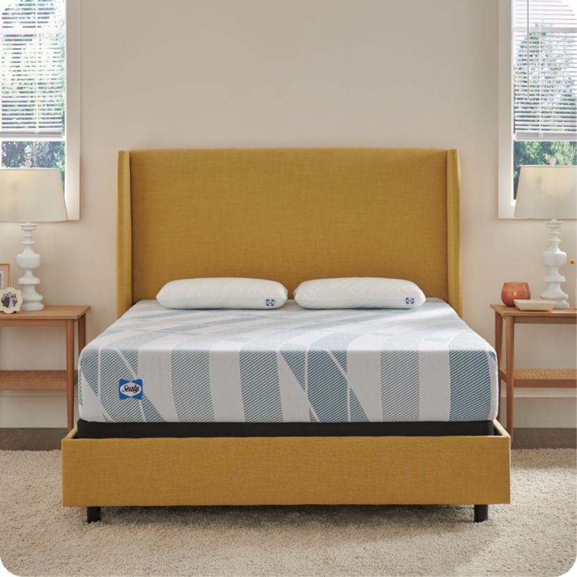 Sealy® Dreamlife™ 10” Hybrid Mattress-in-a-Box