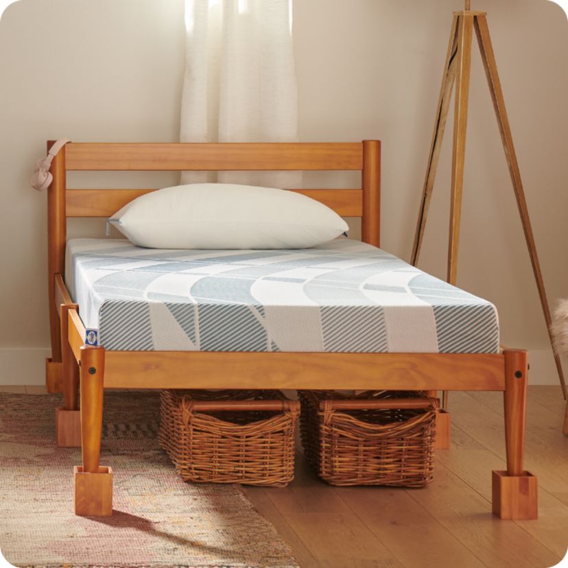 Sealy® Dreamlife™ 6” Foam Mattress-in-a-Box