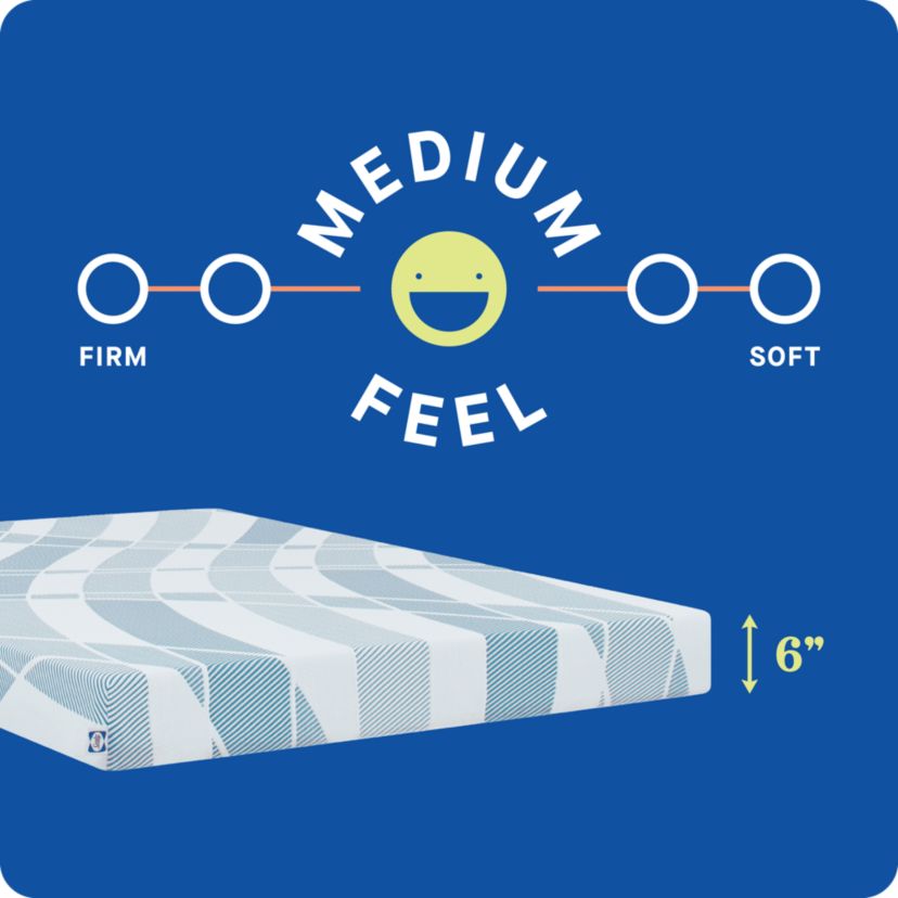 Sealy® Dreamlife™ 6” Foam Mattress-in-a-Box