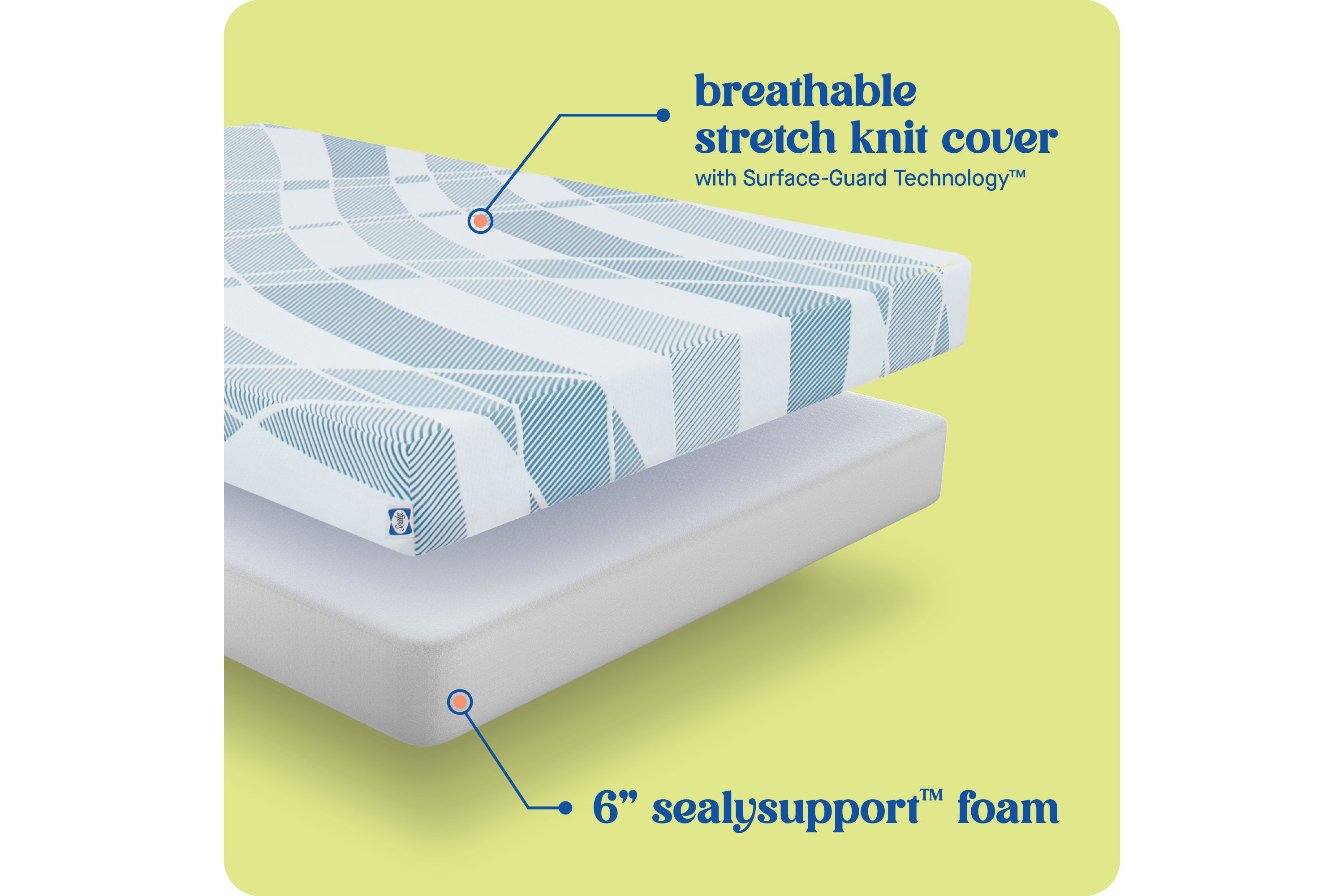Sealy® Dreamlife™ 6” Foam Mattress-in-a-Box