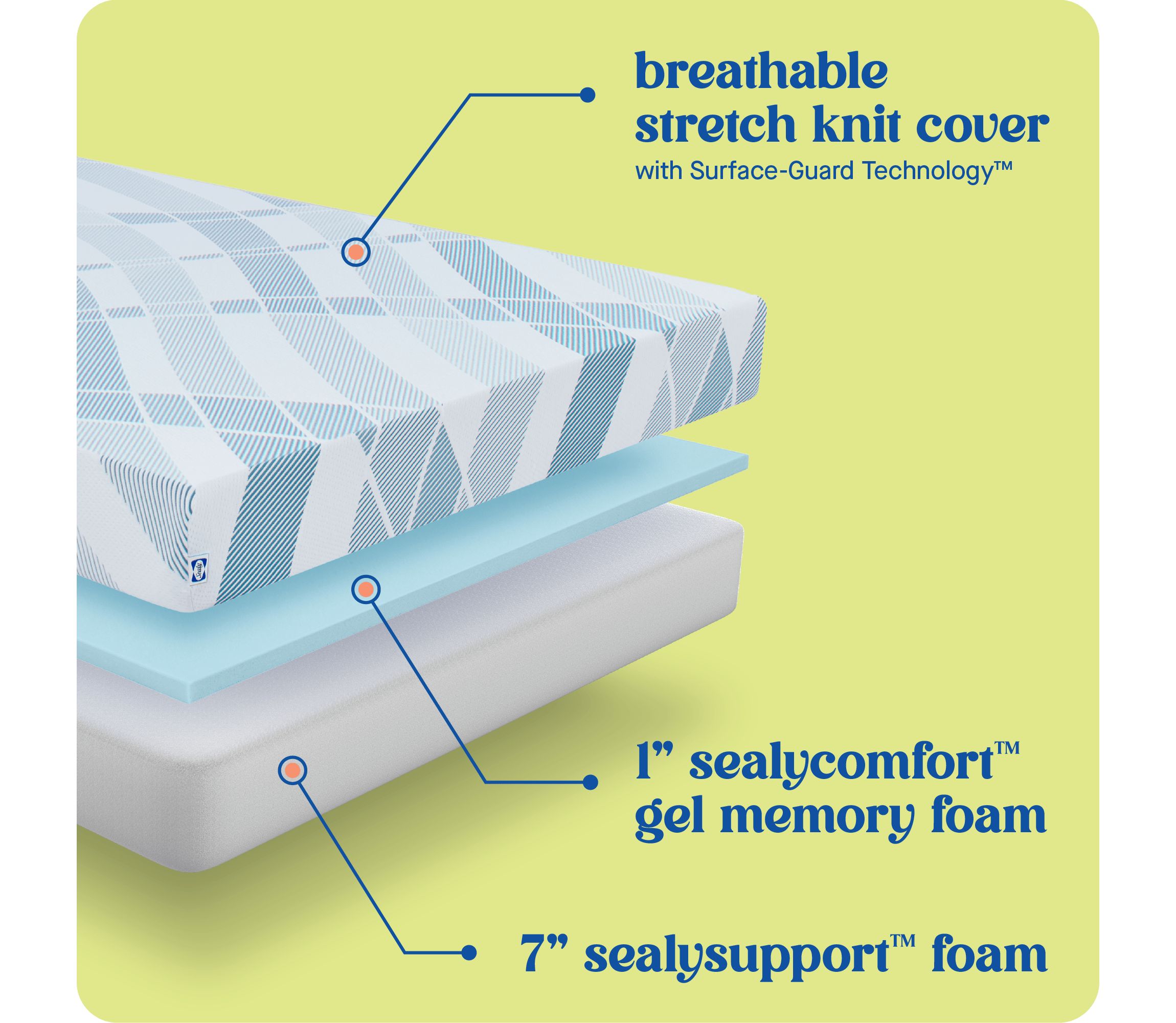 Sealy® Dreamlife™ 8” Foam Mattress-in-a-Box