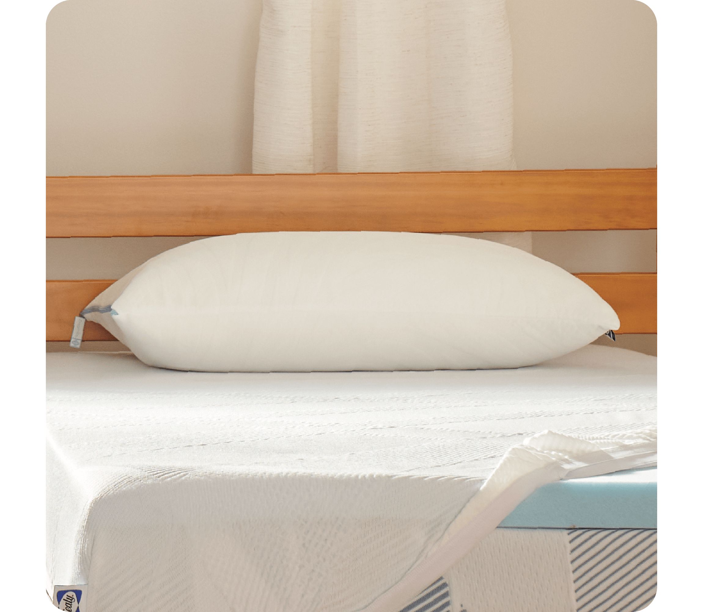 Sealy® Dreamlife™ Shredded Foam Pillow, Standard