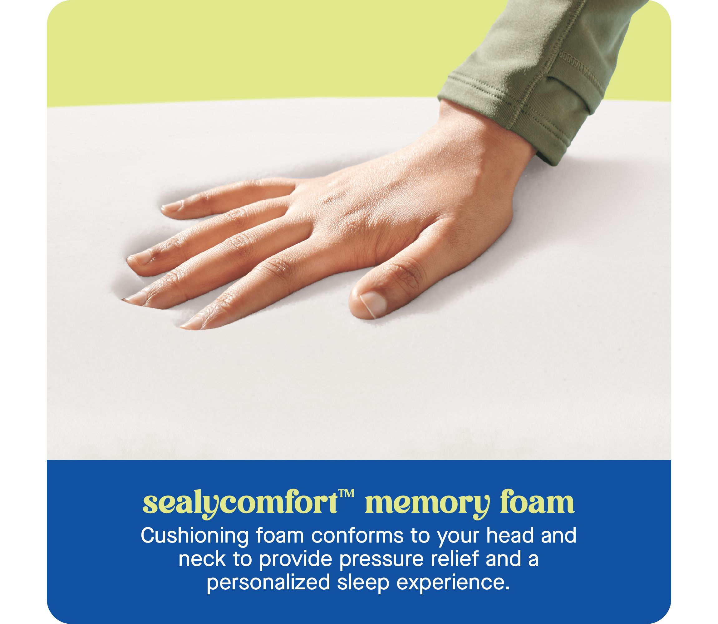 Sealy® Dreamlife™ Shredded Foam Pillow, Standard