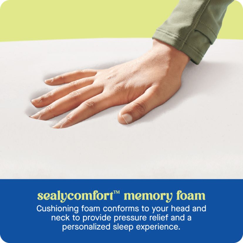 Sealy® Dreamlife™ Shredded Foam Pillow, Standard