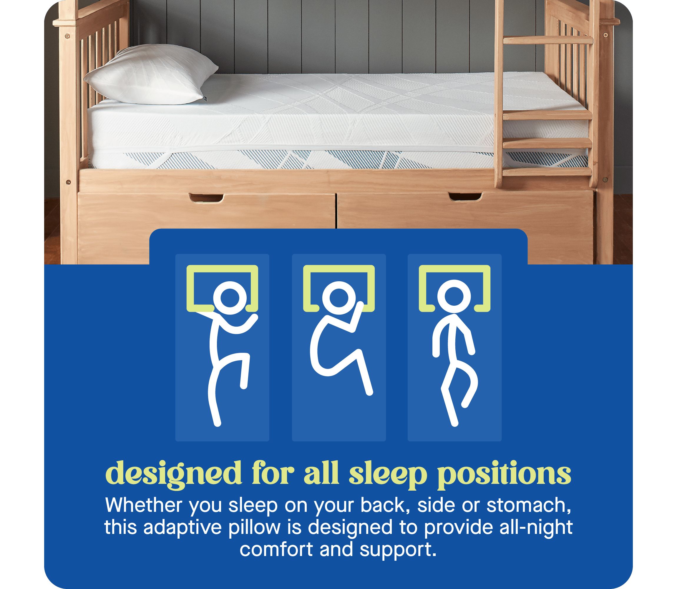 Sealy® Dreamlife™ Shredded Foam Pillow, Standard