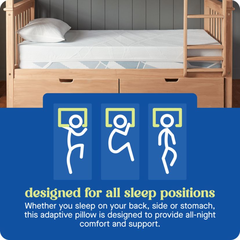 Sealy® Dreamlife™ Shredded Foam Pillow, Standard