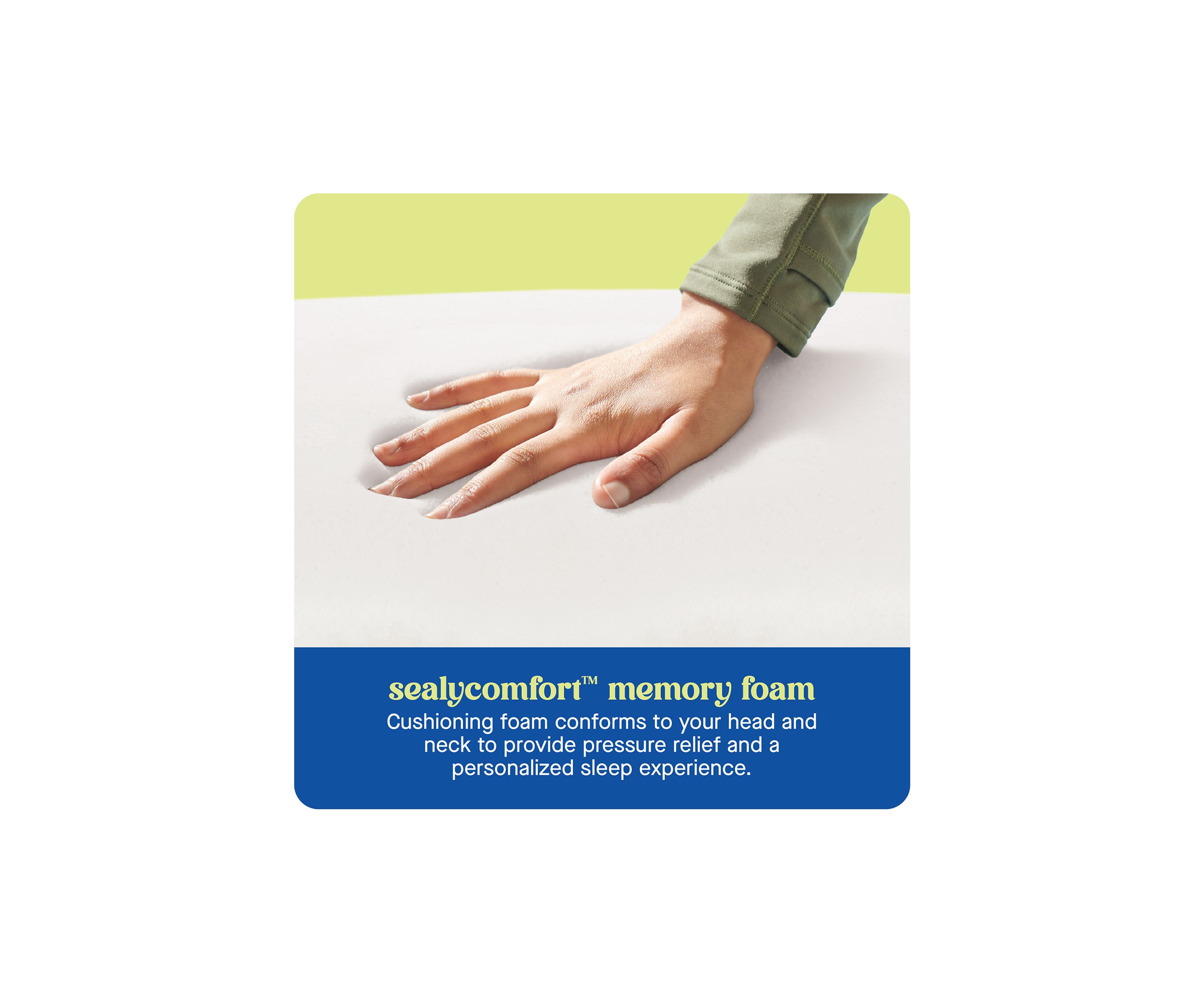 Dreamlife™ Molded Contour Memory Foam Standard Size Bed Pillow