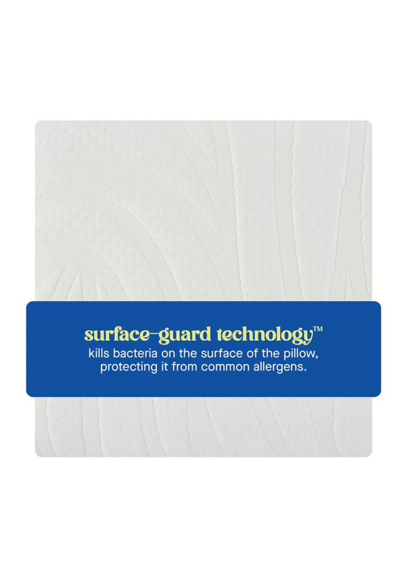 Dreamlife™ Molded Contour Memory Foam Standard Size Bed Pillow