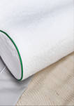 Fresh and Clean Memory Foam Pillow with Anti-Odor and Anti-Stain Ultra-Fresh Treated Fabric