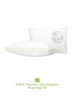 2 Pack Firm Density Bed Pillow with Cotton Cover