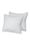 Euro Square Pillow 2 Pack